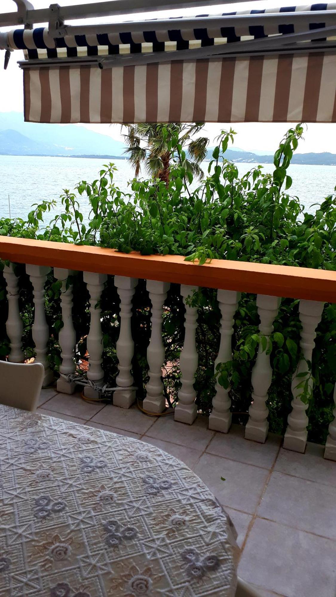 Apartmani Kalinic Bijela Rum bild